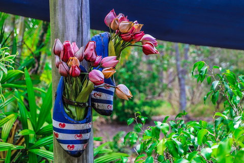 Cool Bananas Backpackers - Accommodation NSW 26