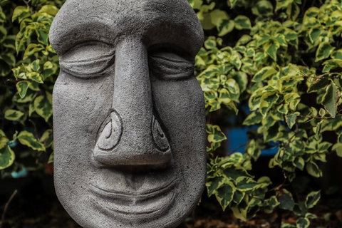 Cool Bananas Backpackers - Accommodation NSW 23