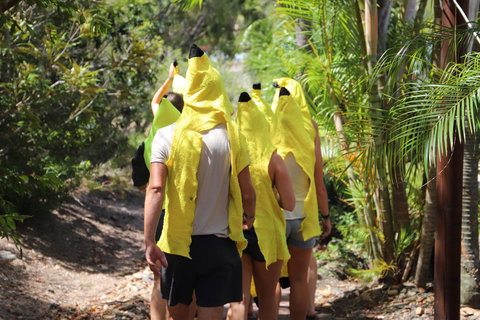 Cool Bananas Backpackers - Accommodation NSW 19