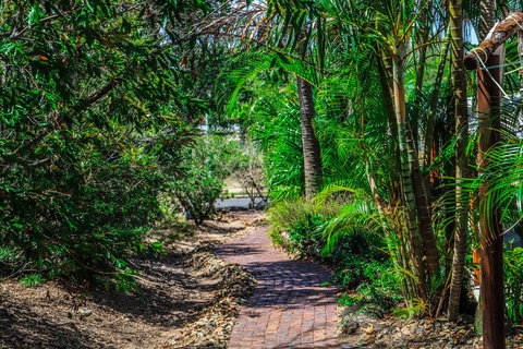 Cool Bananas Backpackers - Accommodation NSW 15