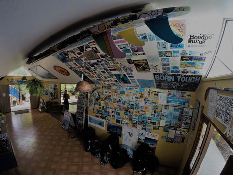 Cool Bananas Backpackers - Accommodation NSW 31