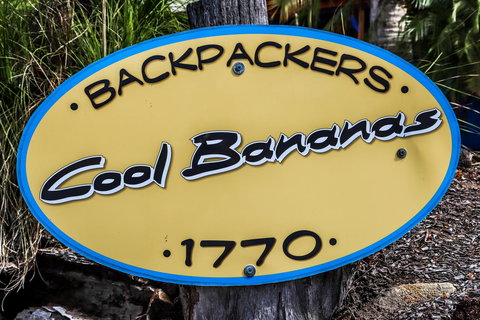 Cool Bananas Backpackers - Accommodation NSW 38