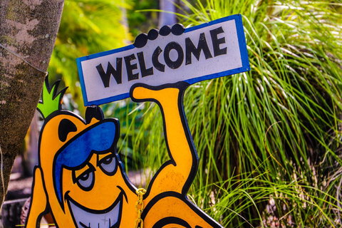 Cool Bananas Backpackers - Accommodation NSW 37