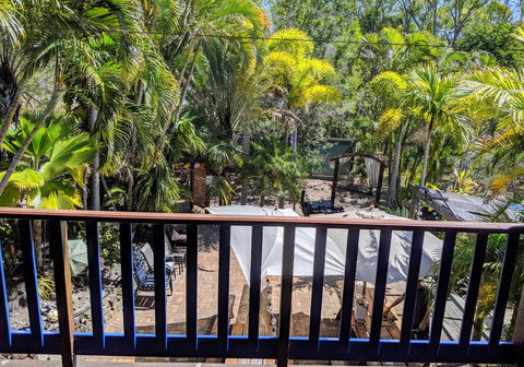 Cool Bananas Backpackers - Accommodation NSW 4