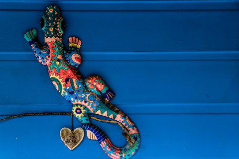 Cool Bananas Backpackers - Accommodation NSW 21