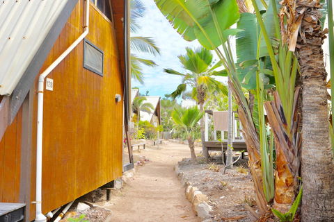 Nomads Magnetic Island - Accommodation NSW 26
