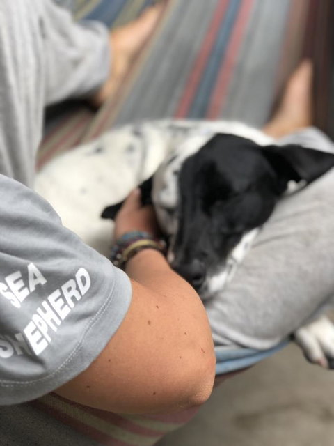 Backpackers At 1770 - Accommodation NSW 15