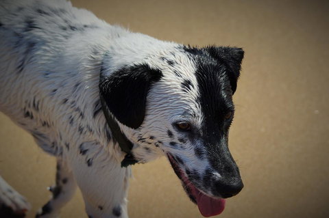 Backpackers At 1770 - Accommodation NSW 21