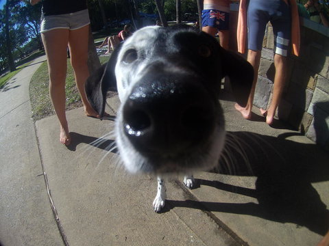 Backpackers At 1770 - Accommodation NSW 2