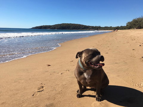 KiteSurf 1770 Beach House - Accommodation NSW 12