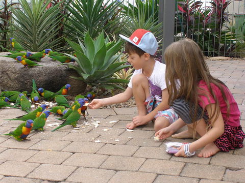 Island Leisure Resort - Accommodation NSW 25