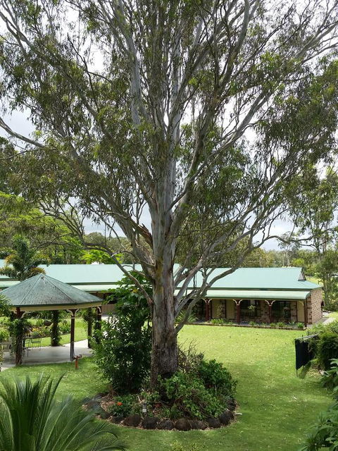The Bearded Dragon Boutique Hotel - Accommodation NSW 32