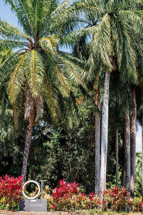 Oaks Port Douglas Resort - Accommodation NSW 40