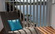 Penthouse On Bright Point - thumb 11