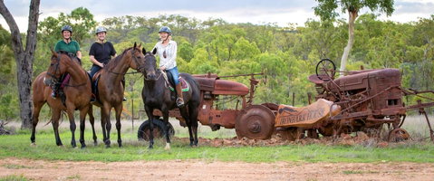 Ironbark House - Accommodation NSW 8