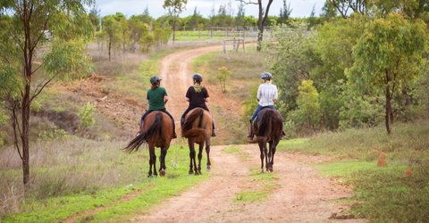 Ironbark House - Accommodation NSW 22