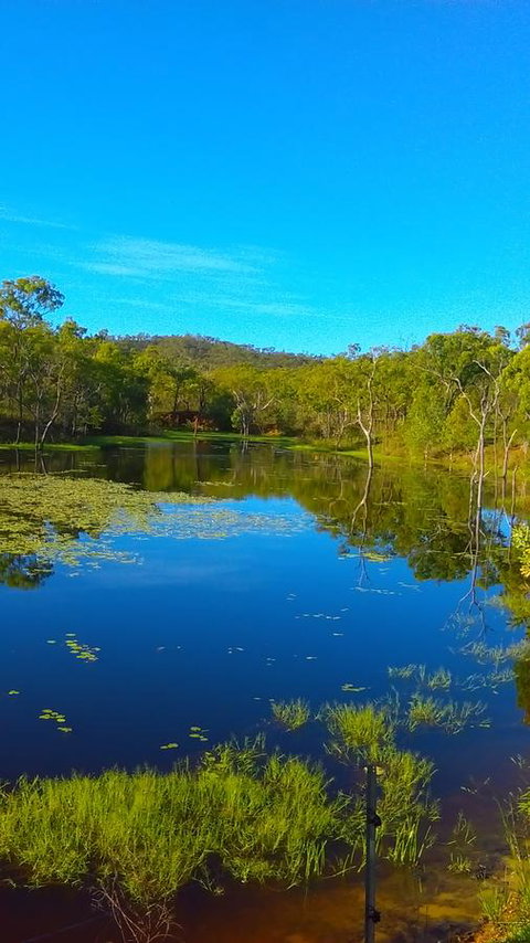 Ironbark House - Accommodation NSW 21