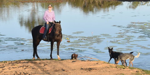 Ironbark House - Accommodation NSW 39