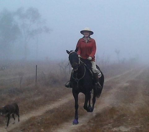 Ironbark House - Accommodation NSW 37