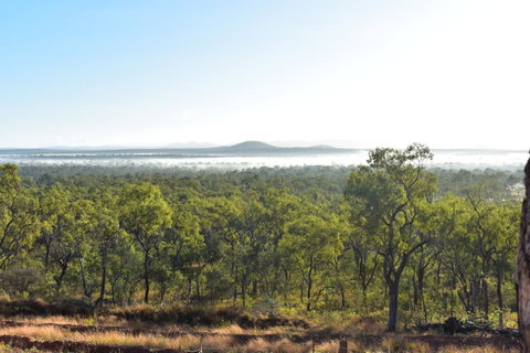 Ironbark House - Accommodation NSW 16
