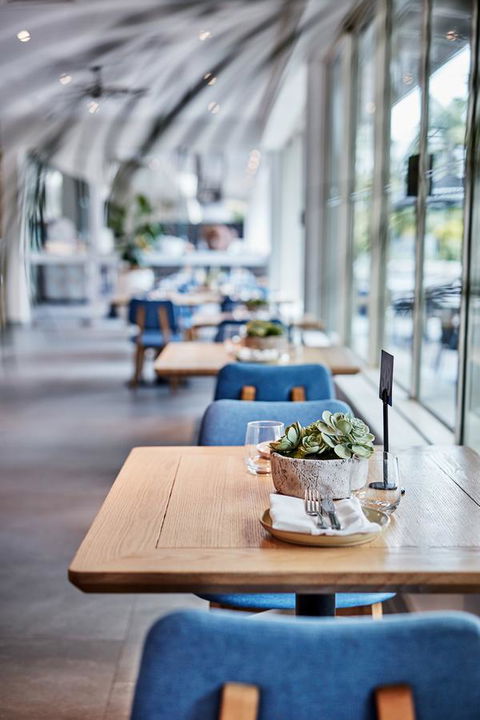 Novotel Cairns Oasis Resort - Accommodation NSW 19