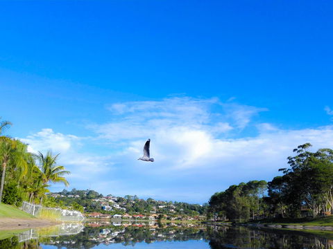 Bay Of Palms - Accommodation NSW 18