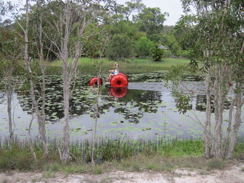 1770 Southern Cross Travellers Retreat - Accommodation NSW 16