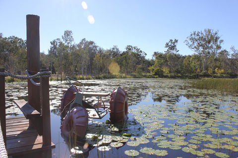 1770 Southern Cross Travellers Retreat - Accommodation NSW 21