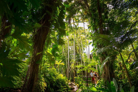 Cairns Colonial Club Resort - Accommodation NSW 22