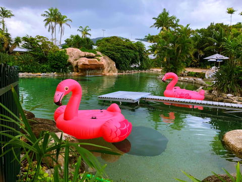 Cairns Colonial Club Resort - Accommodation NSW 6