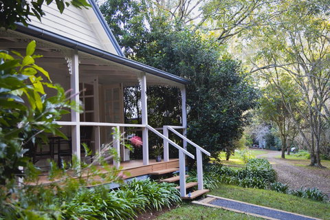 Curtis Falls Cottage - Accommodation NSW 15