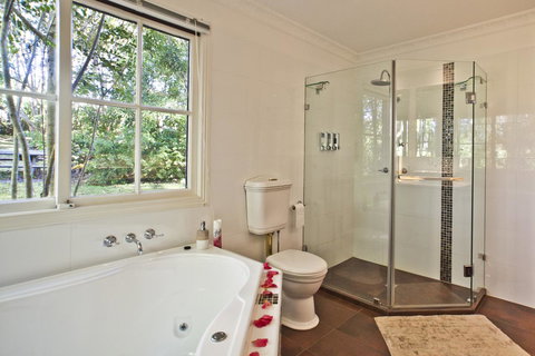 Curtis Falls Cottage - Accommodation NSW 4