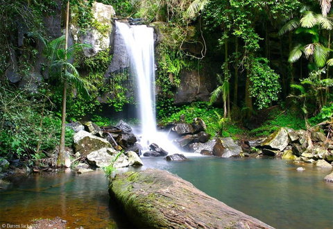 Curtis Falls Cottage - Accommodation NSW 22