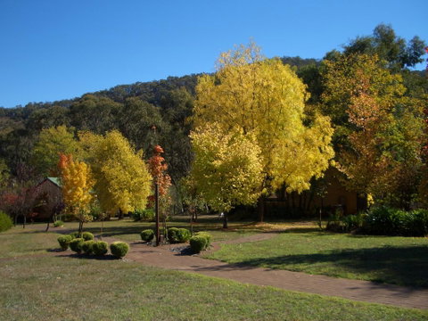 Willowlake Cottages - Accommodation NSW 0