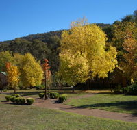 Willowlake Cottages - Accommodation NSW