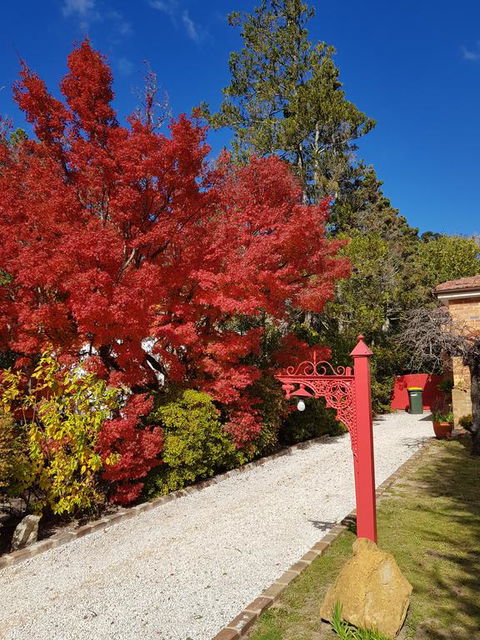 Winston Cottage At Three Sisters - Accommodation NSW 1