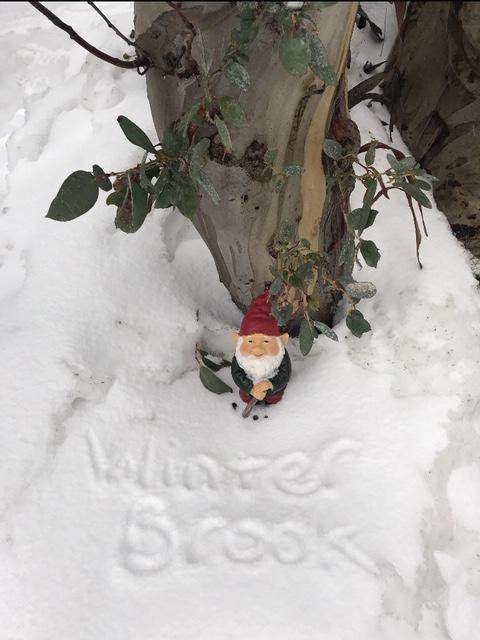 Winterbrook Chalet - Accommodation NSW 3