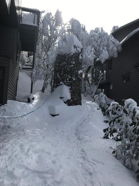 Winterbrook Chalet - Accommodation NSW 2