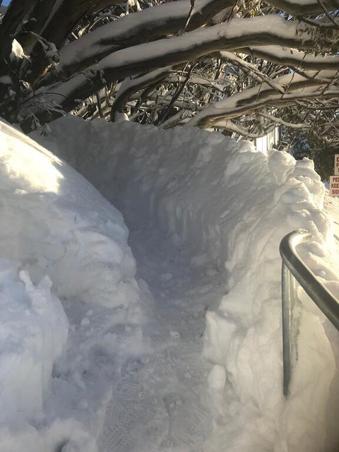 Winterbrook Chalet - Accommodation NSW 1