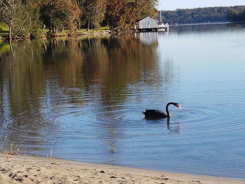 Wyreepi River Cottage - Accommodation NSW 3