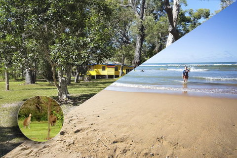 Yellow Cottage - Bush And Beach - Accommodation NSW 0