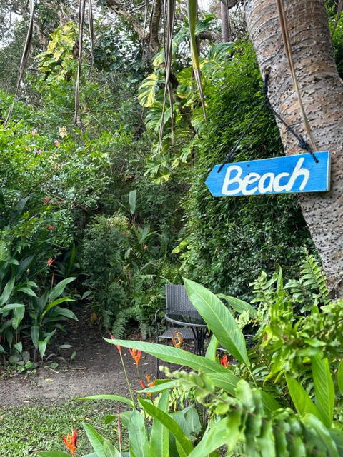 Absolute Beach Front Home -Dogs, Surf, Relax, Bush - Accommodation NSW 2