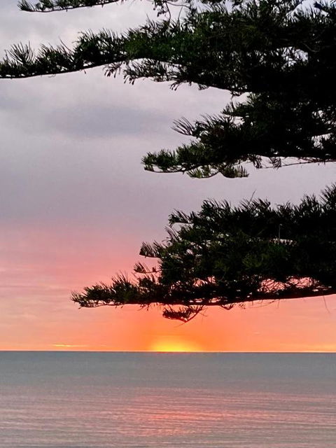 Absolute Beachfront Apartment, Amazing Sunsets - Accommodation NSW 2
