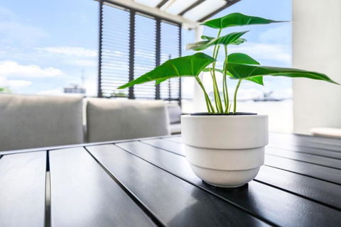 Accent On McLeod - Breezy Outdoor Living - Accommodation NSW 0