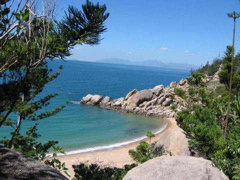 AFFORDABLE ISLAND ESCAPE! Queen Studio, Nelly Bay - Accommodation NSW 3