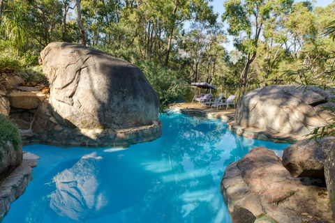 A Paradise For Dogs And A Magical Retreat For Hoomans - Accommodation NSW 0