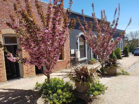 Albert Hotel Daylesford - Accommodation NSW 2