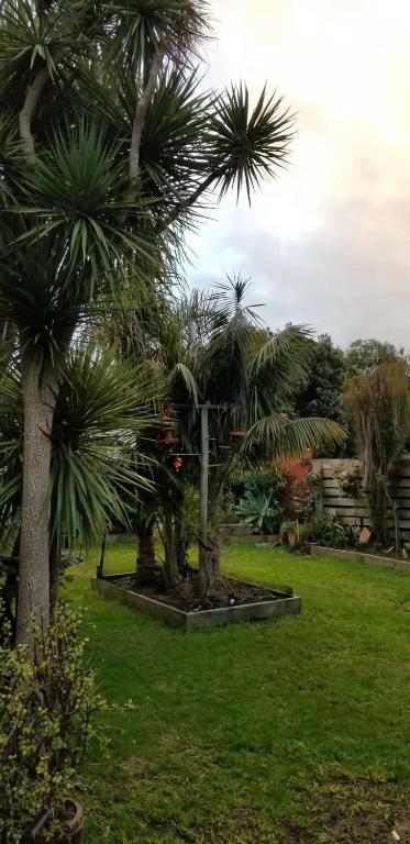 Apollo Stay - Accommodation NSW 1