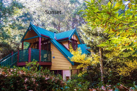 Arnica Views Summit Retreat - Accommodation NSW 4