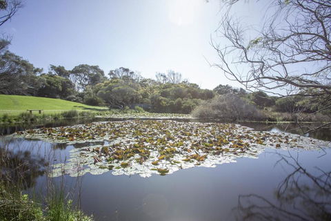 Apollo Bay Cottages- Sabine - Accommodation NSW 4